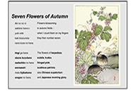 Blog Page